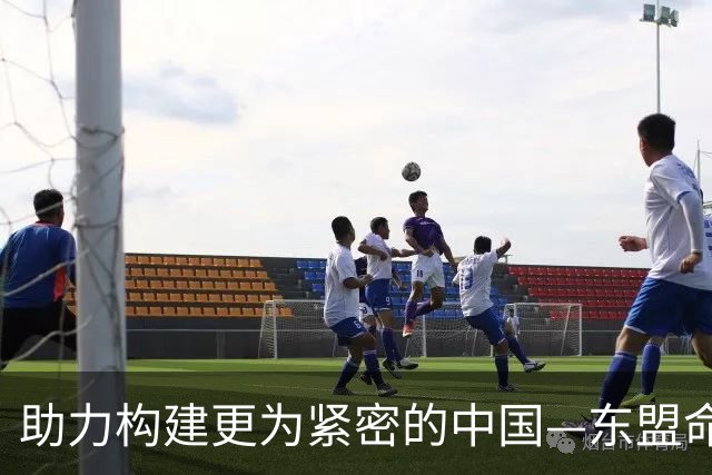 助力构建更为紧密的中国—东盟命运共同体